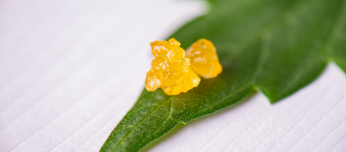 live resin on marijuana leaf