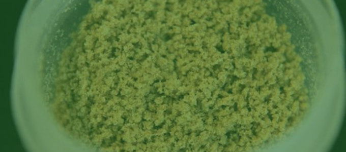 bubble hash closeup