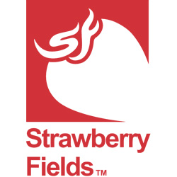 Strawberry Fields - Pueblo Central