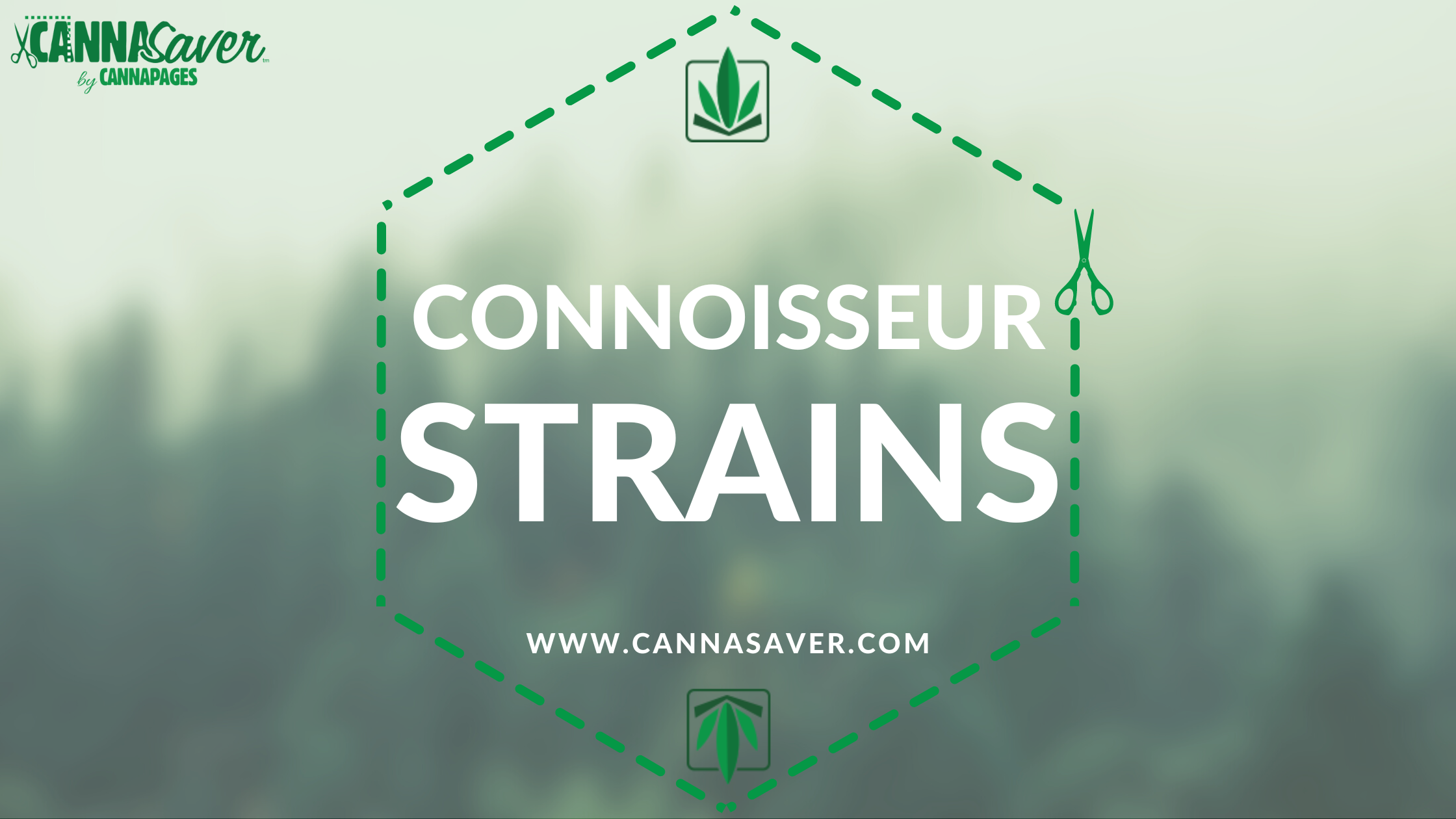 Connoisseur Strains