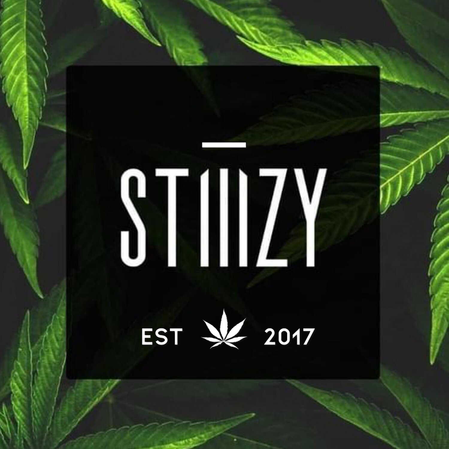 Stiiizy - Western