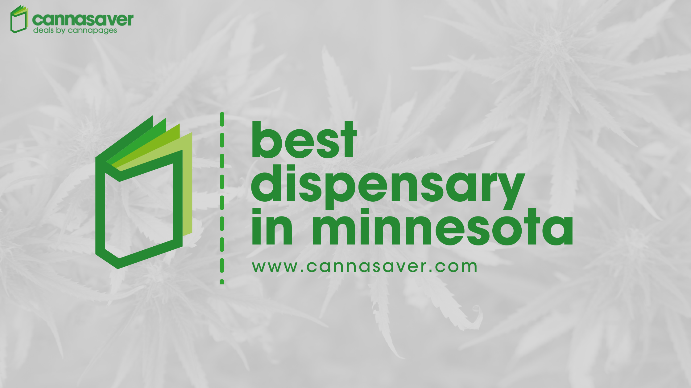 Best Dispensary in Minnesota