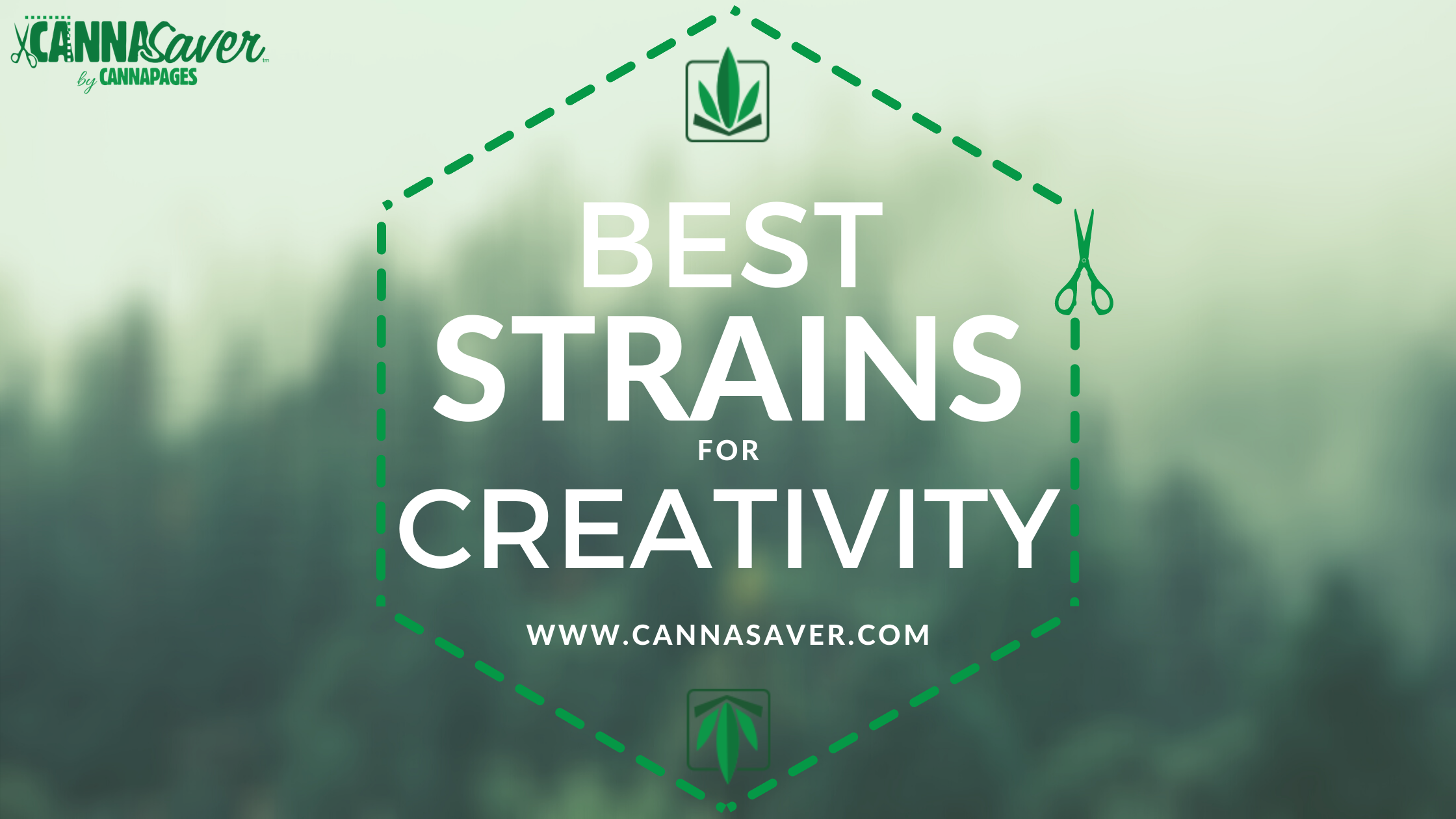 Best Strains For Creativity