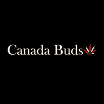 Canada Buds - Burlington
