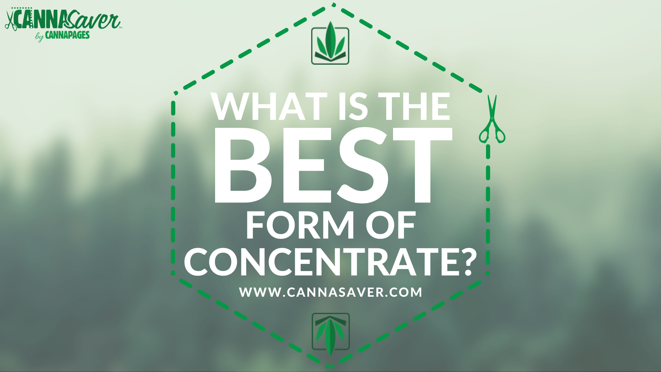 What is the Best Form of Concentrate?