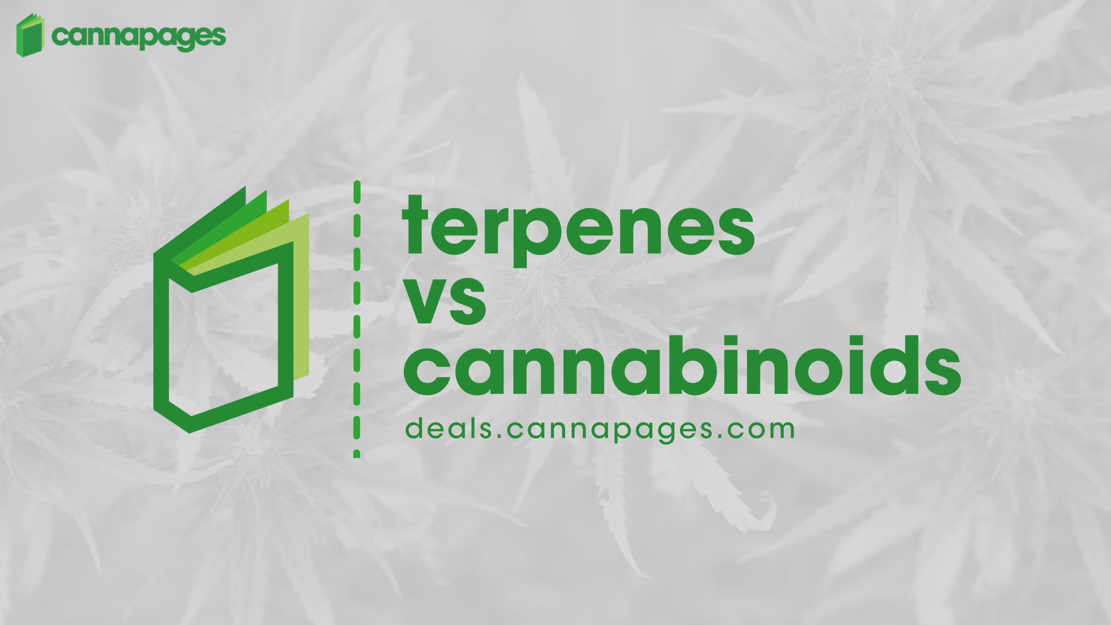 Terpenes vs Cannabinoids