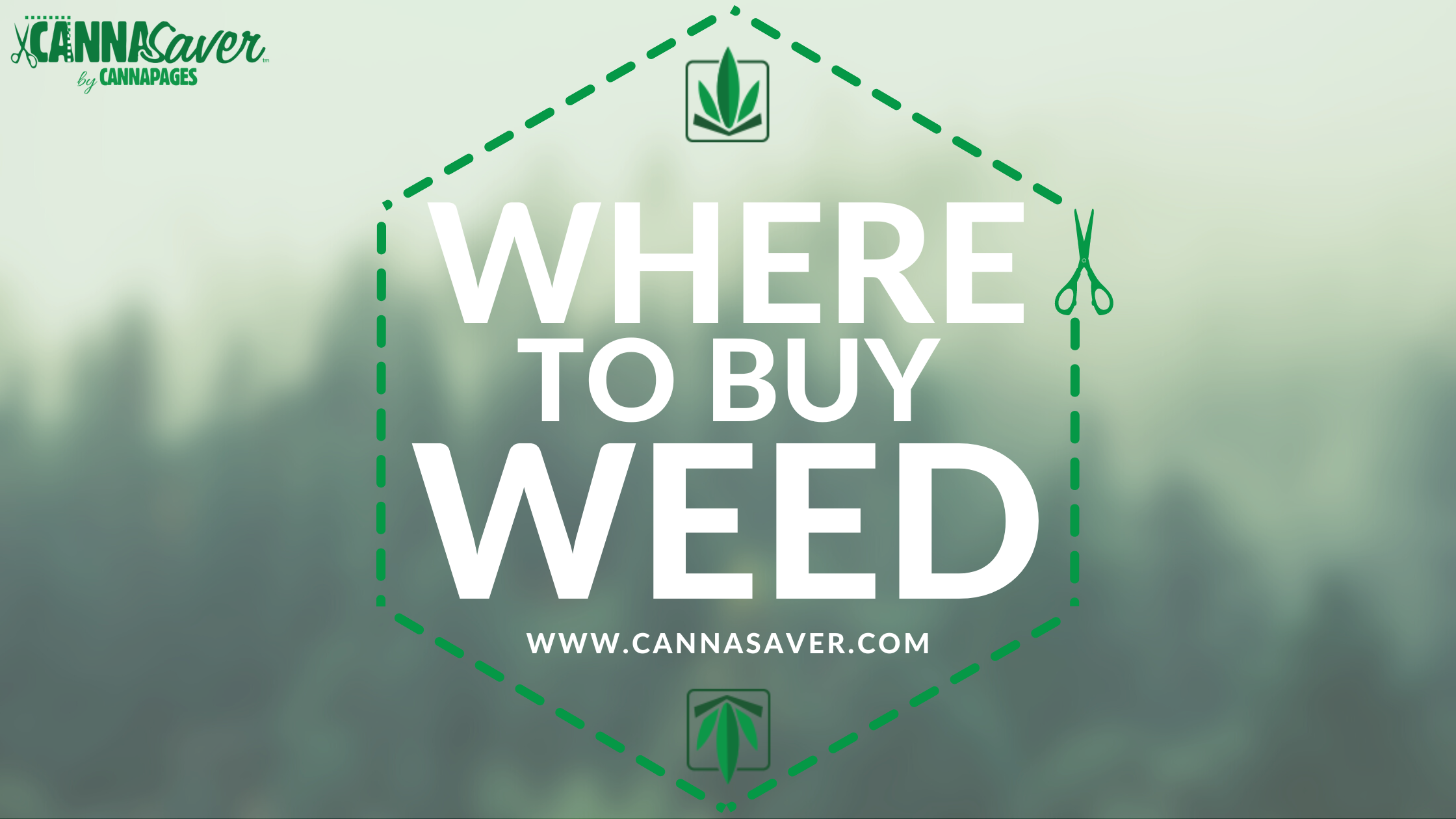 Where to Buy Weed