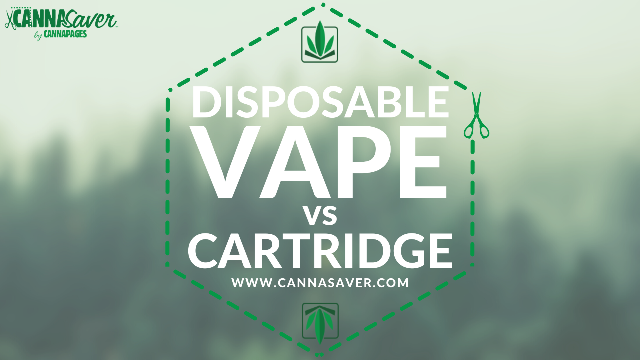 Disposable Vape vs Cartridge