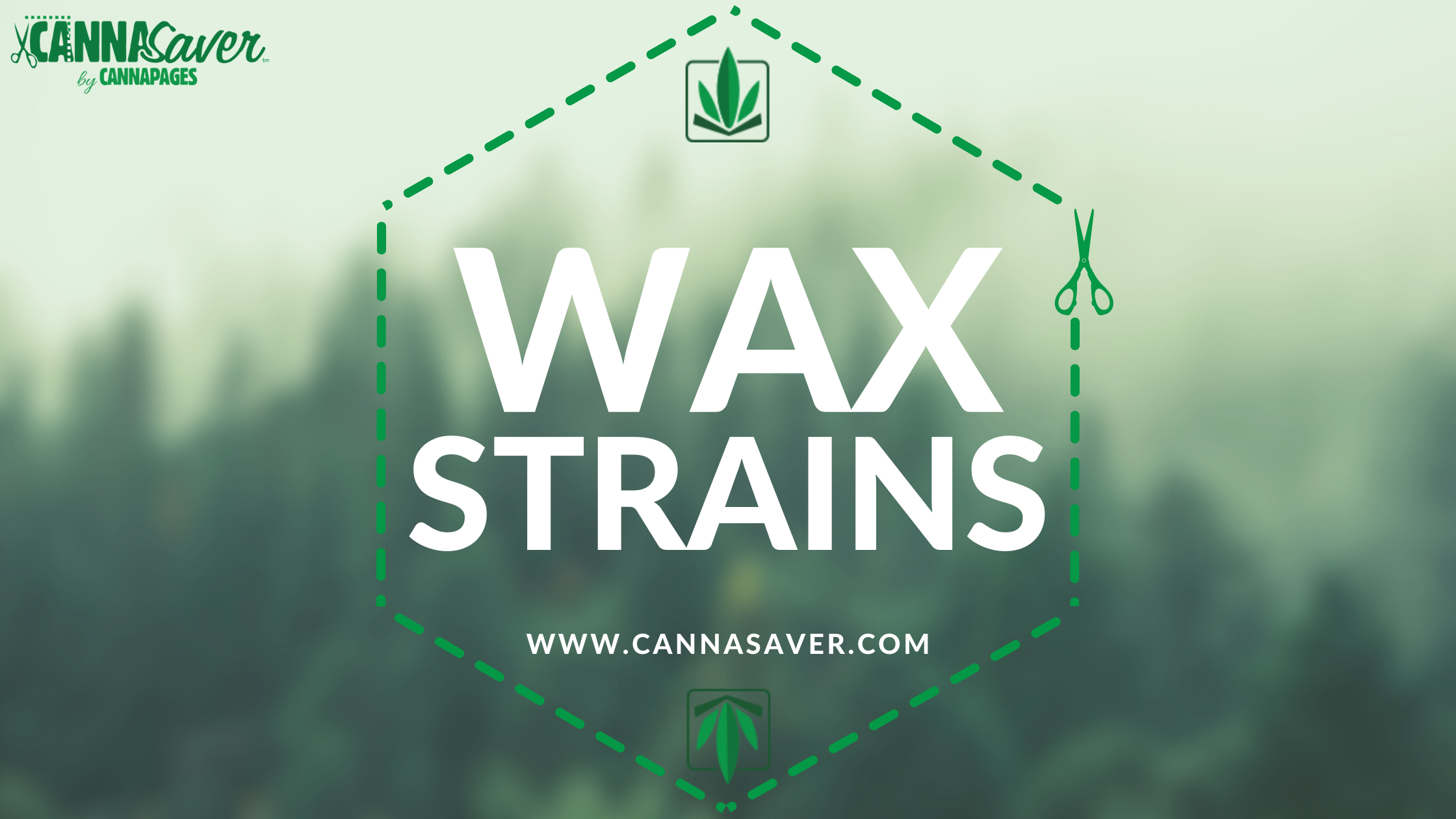 Wax Strains
