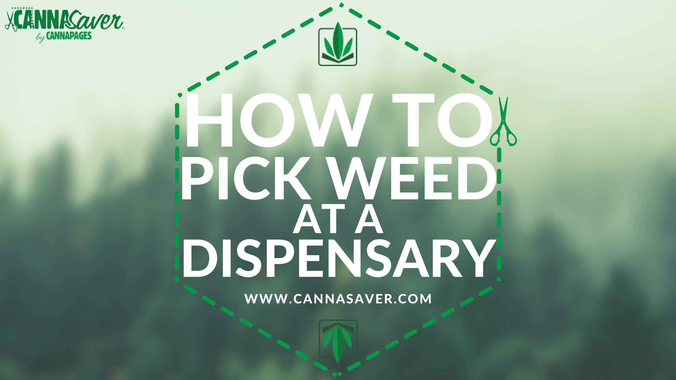 How to Pick Weed at a Dispensary
