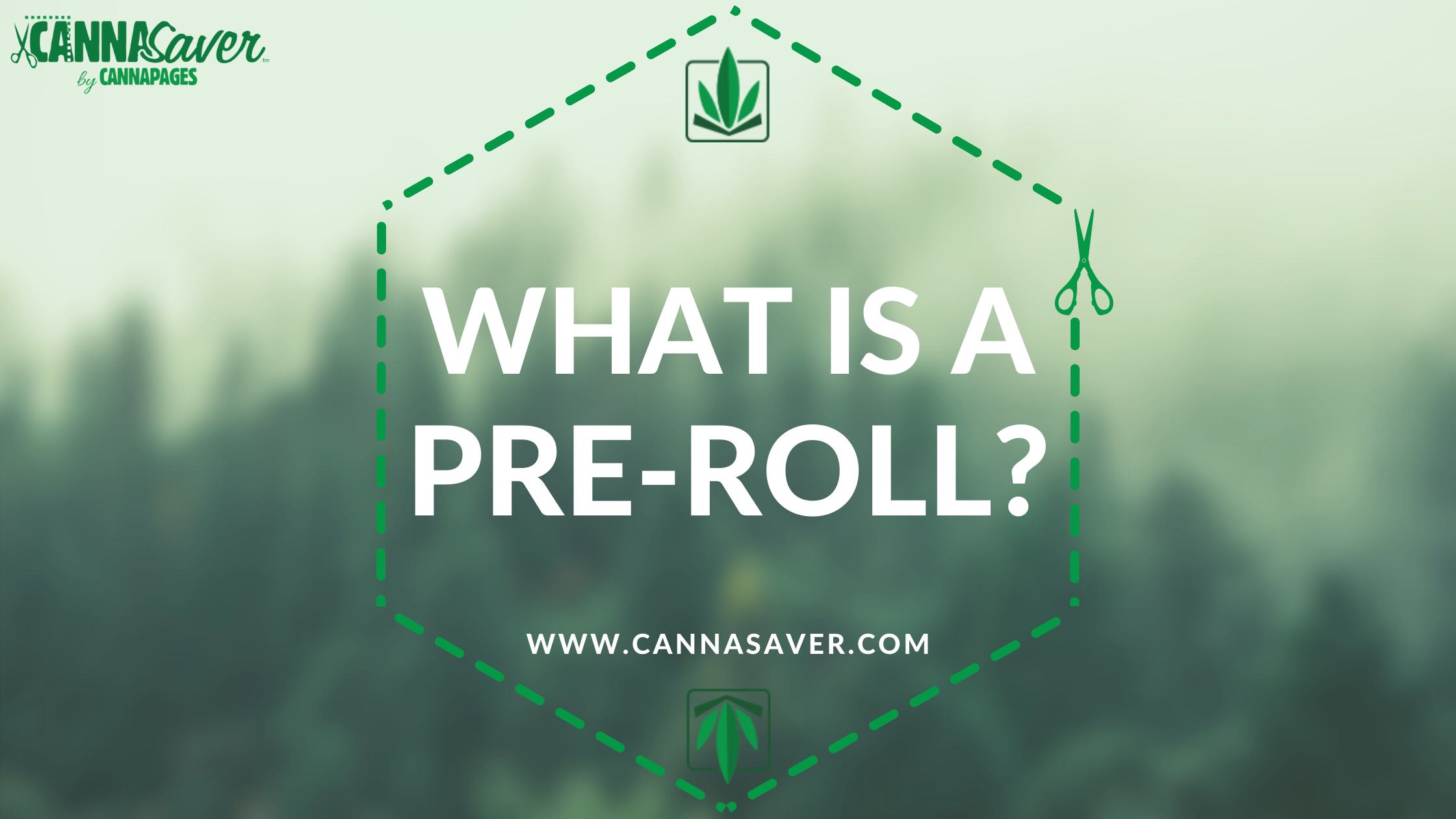 What Is a Preroll?