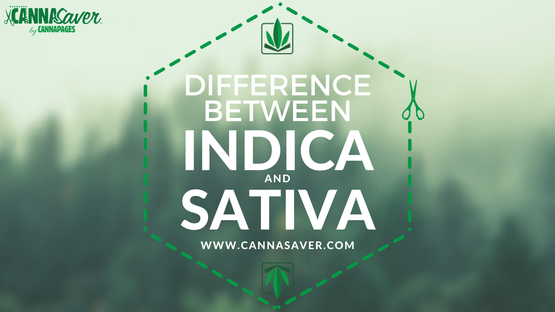 Is There Really a Difference Between Indica and Sativa