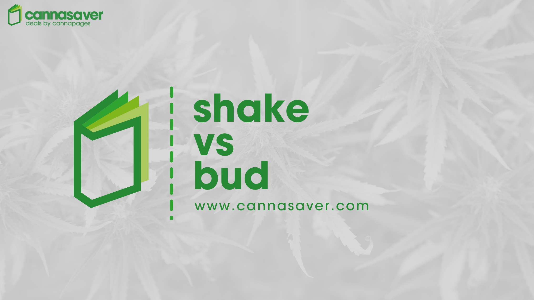 Shake vs Bud
