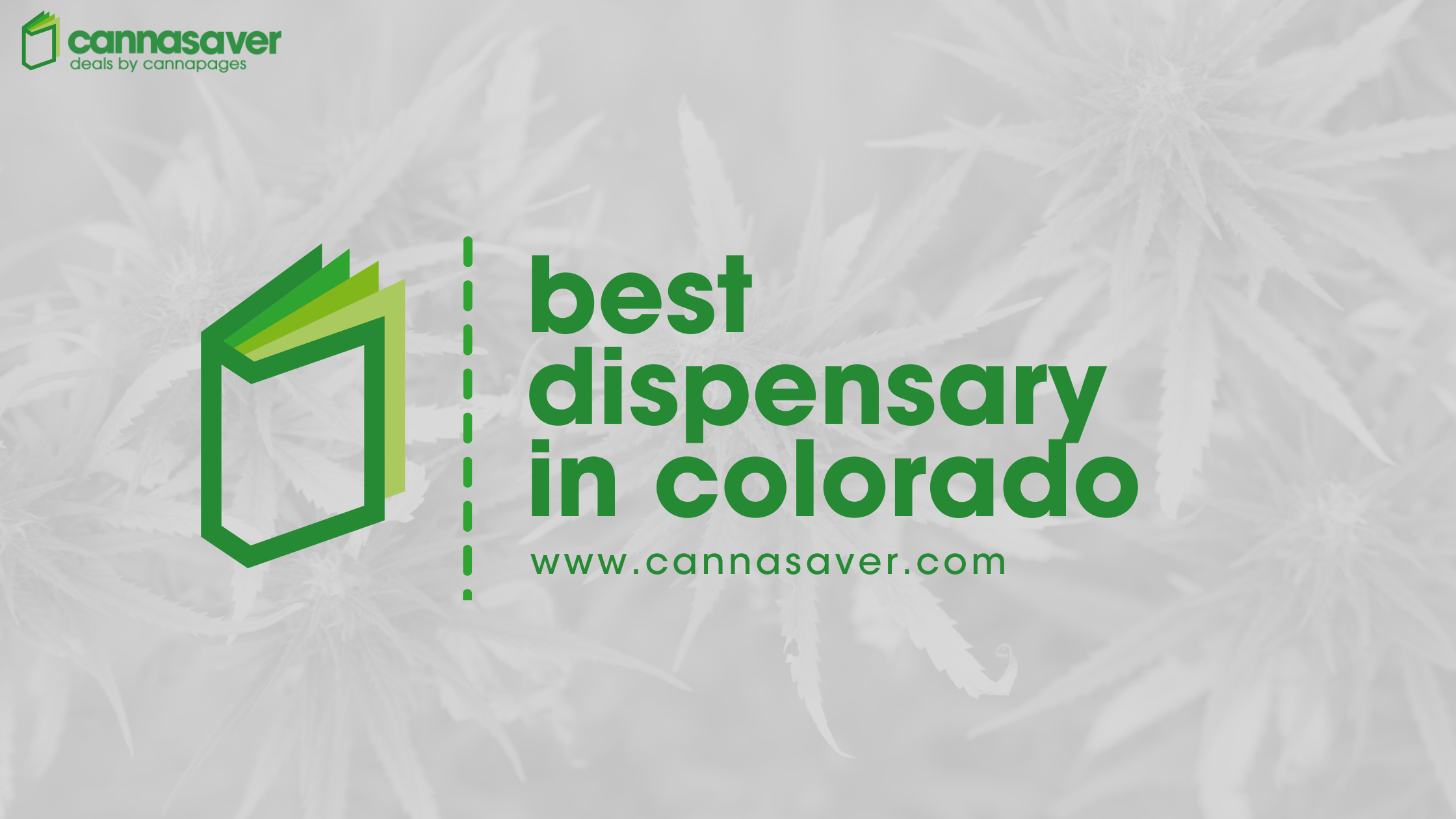 Best Dispensary in Colorado