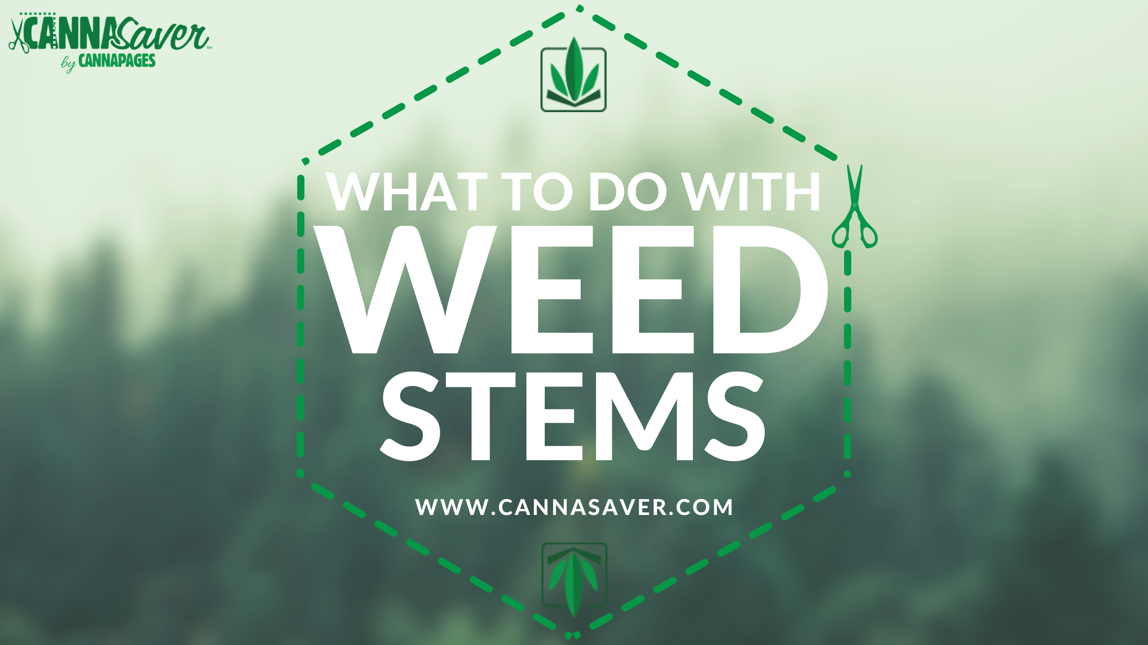 What to Do With Weed Stems