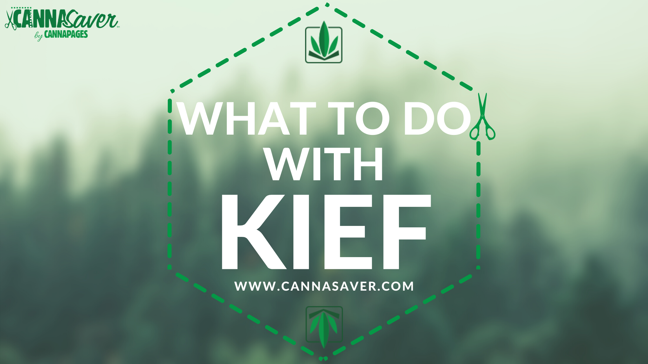 What Can You Do With Kief?