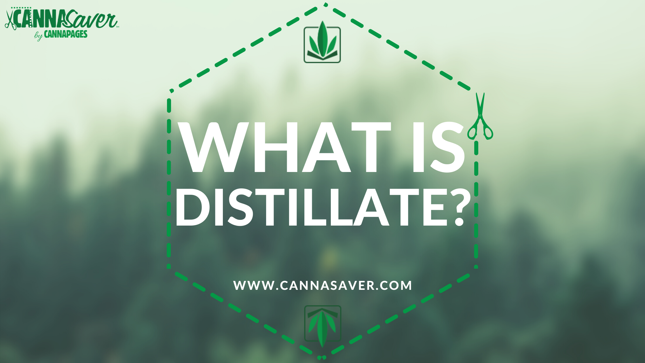 What Is Distillate?