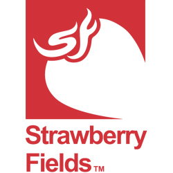 Strawberry Fields - Downieville