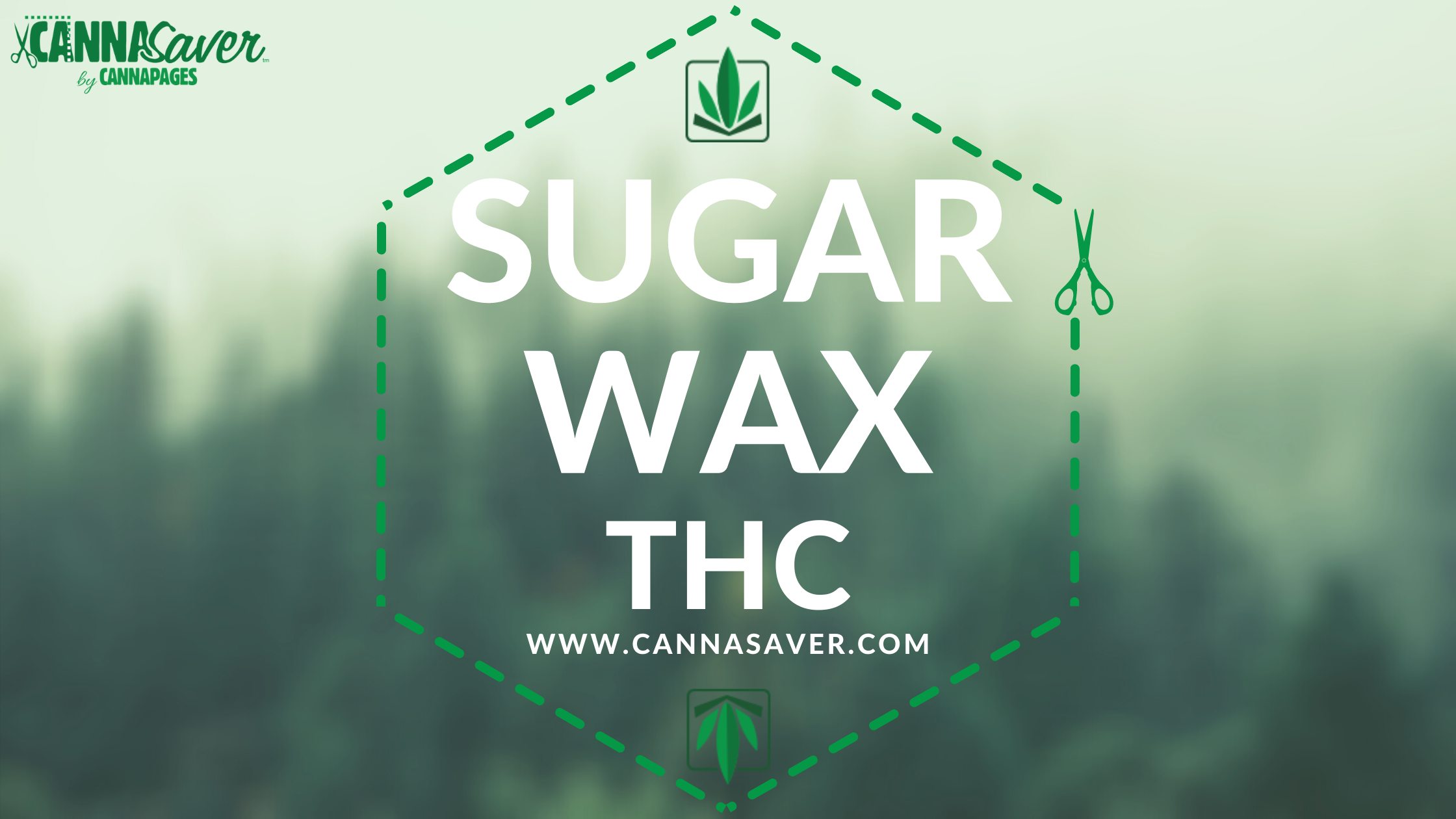 Sugar Wax THC