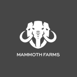 Mammoth Farms