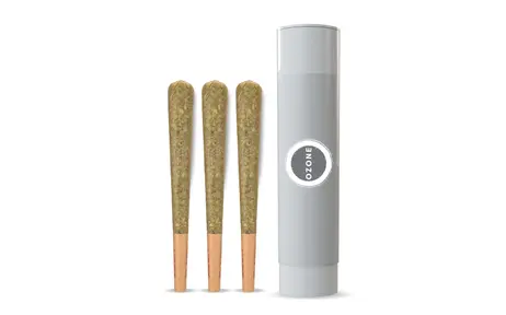 (each) Gush Mints - 3 Pack Pre Rolls