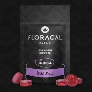 (each) FloraCal Wild Berry Gummies 100mg (10ct)