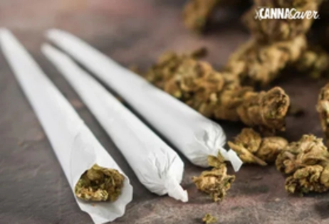 5 Pre-rolls for $40 Out The Door