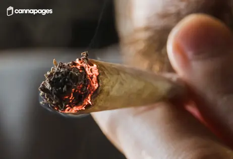 Penny Joint + 20% Off Entire Purchase