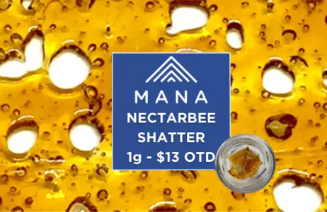 NectarBee Shatter 1g - $13 OTD