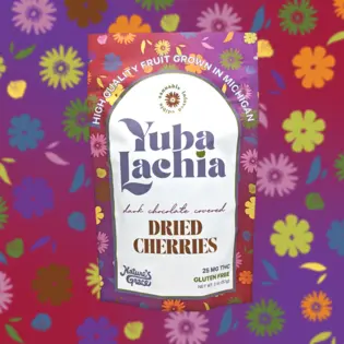 (0.025g) Dark Chocolate Covered Dried Cherries | 25mg | Yubalachia