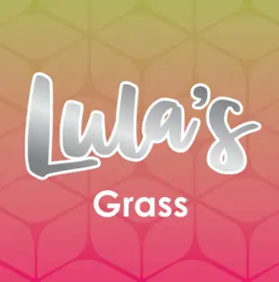 (each) Special Shelf Lula's Grass Mint Biscuit 7g (H)