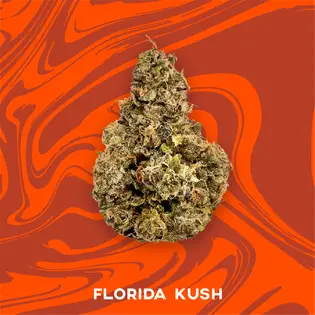 (3.5g) 3.5g | Florida Kush