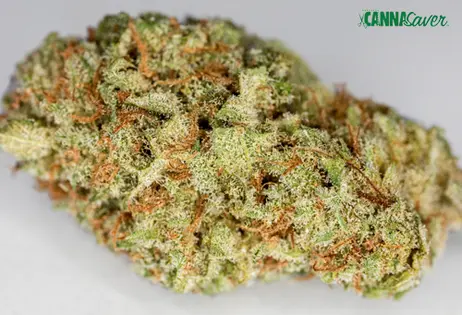 Free* 1/8th of Flower with any $10 Purchase