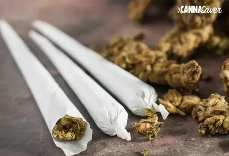 $2.95 1G Joints