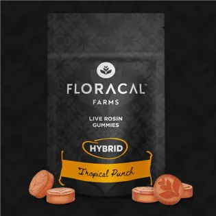 (each) FloraCal Tropical Punch Gummies 100mg (10ct)