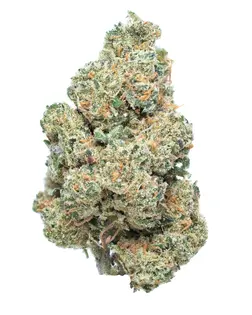 (g) Frosted Kush