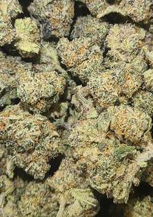Runtz Full Bud $125 OTD While Supplies Last