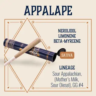 (1.0g) Appalape Pre-Roll | 1g