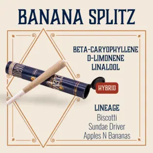 (1.0g) Banana Splitz Pre-Roll | 1g