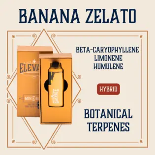 (1.0g) Banana Zelato Botanical Min-E-Bar | 1g