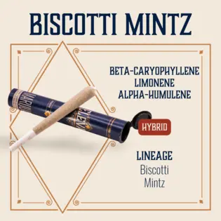 (1.0g) Biscotti Mintz Pre-Roll | 1g