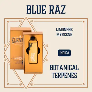 (1.0g) Blue Raz Botanical Min-E-Bar | 1g