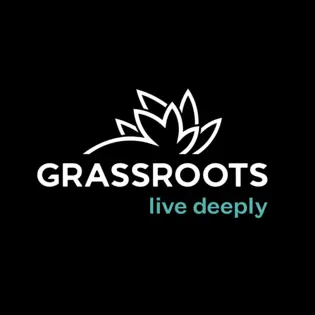 (each) Grassroots Shorties PreRoll Pack 2g (5ct) - Layer Cake
