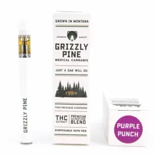 (g) Purple Punch  - All In One Vape  0.5g