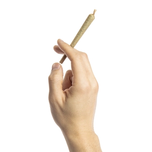 (g) Sugar Cane Joint