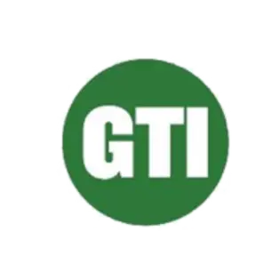 (g) GTI &Shine Blue Dream 300mg Disposable