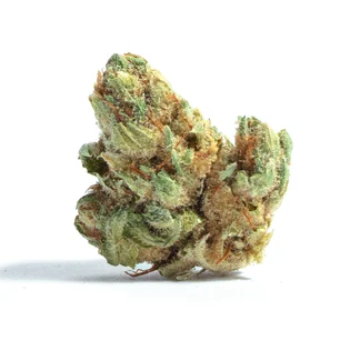 (g) Rhubarb Pizzaz Bud