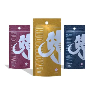 Mammoth: Buy a Cart get Dandy Dime Gummies (100mg) for a Penny!