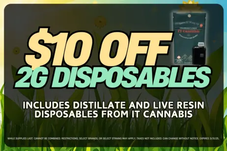 $10 OFF 2G DISPOSABLES