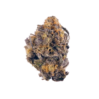 (g) Purple Kush - .5g Preroll
